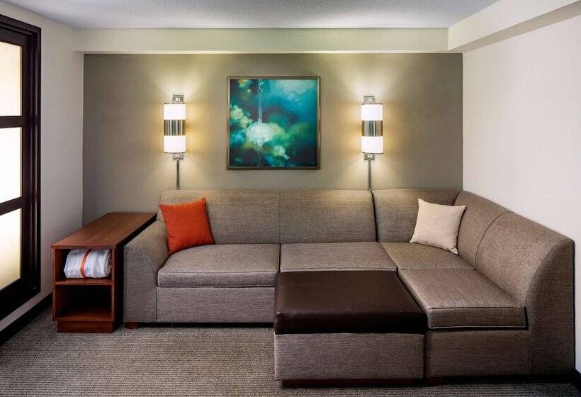 Номер Стандарт, Hyatt Place Roanoke Airport / Valley View Mall