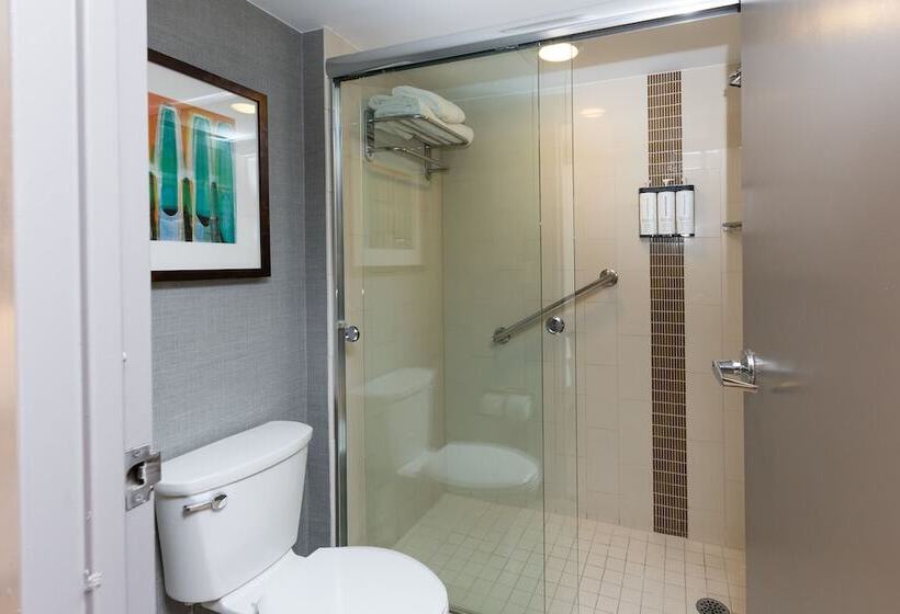 Номер Стандарт 2 Двуспальные Кровати, Hyatt Place Roanoke Airport / Valley View Mall