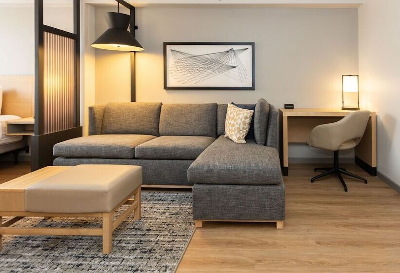 Номер Стандарт 2 Двуспальные Кровати, Hyatt Place Roanoke Airport / Valley View Mall