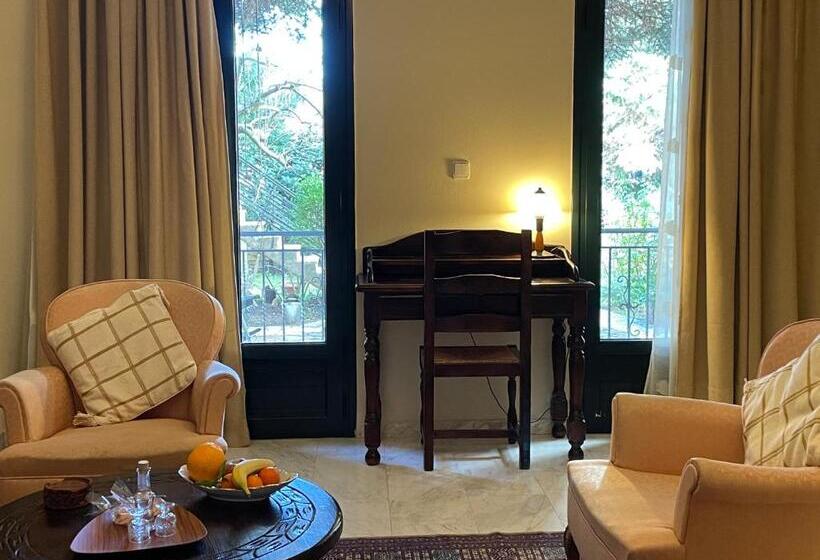 Студия Стандарт, Papastavrou Apartments