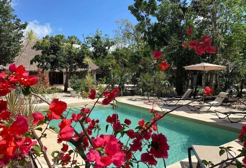 デラックスバンガロー, Maya Eco Village
