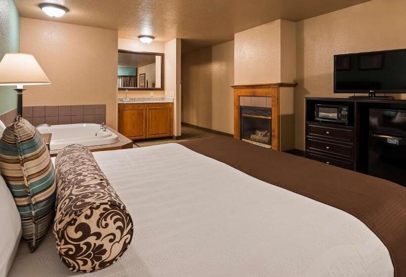 스탠다드 룸 킹사이즈 침대, Best Western Plus Bayshore Inn