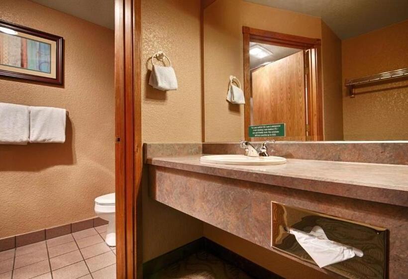 스탠다드 룸 킹사이즈 침대, Best Western Plus Bayshore Inn