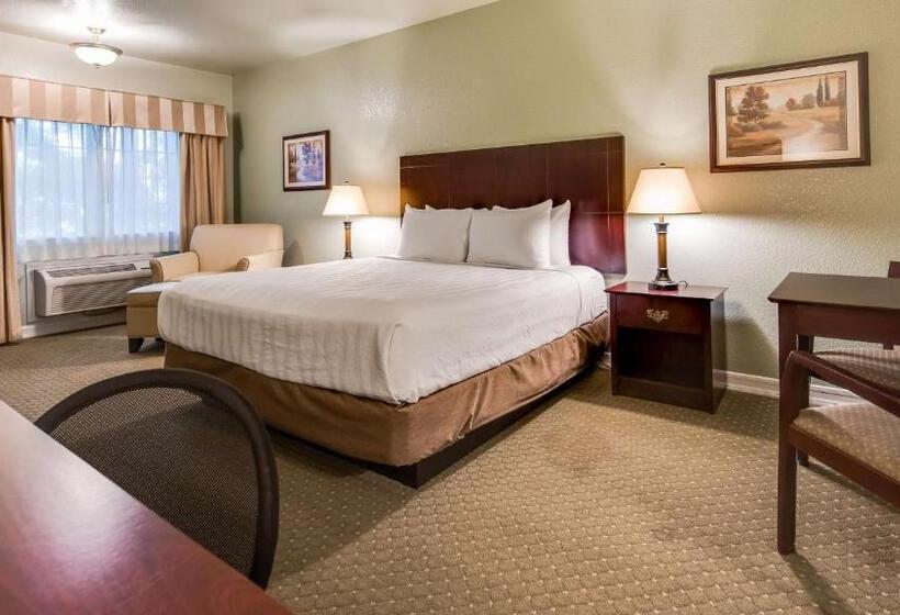 스탠다드 룸 킹사이즈 침대, Best Western Plus Bayshore Inn