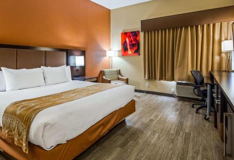 스탠다드 룸 킹사이즈 침대, Best Western View Of Lake Powell