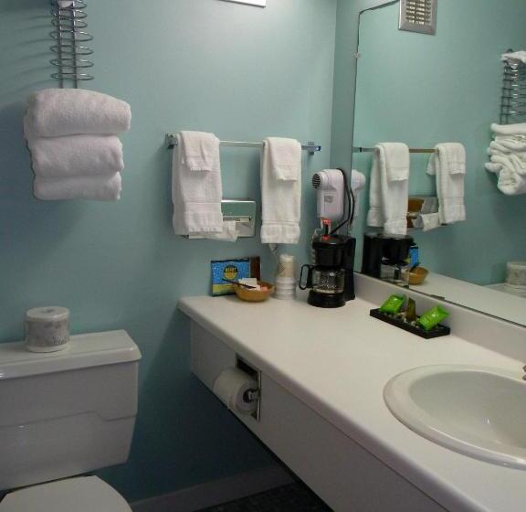 带2个双人床的标准工作室, Baxter Park Inn