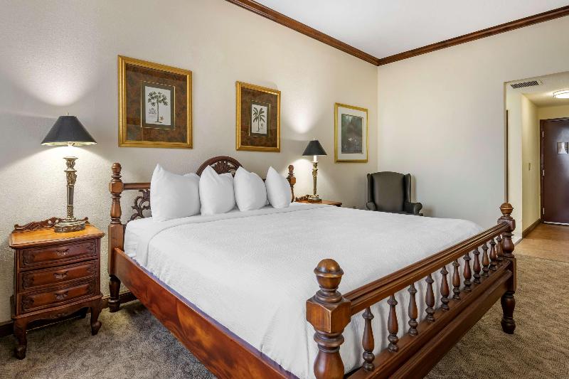带大床的套房, Best Western Gateway Grand
