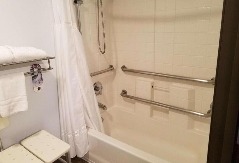 장애인을 위한 킹사이즈 침대 스탠다드 룸, Best Western Sandy Inn