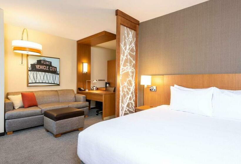 اتاق استاندارد با تخت بزرگ برای معلولان, Hyatt Place Flint/Grand Blanc