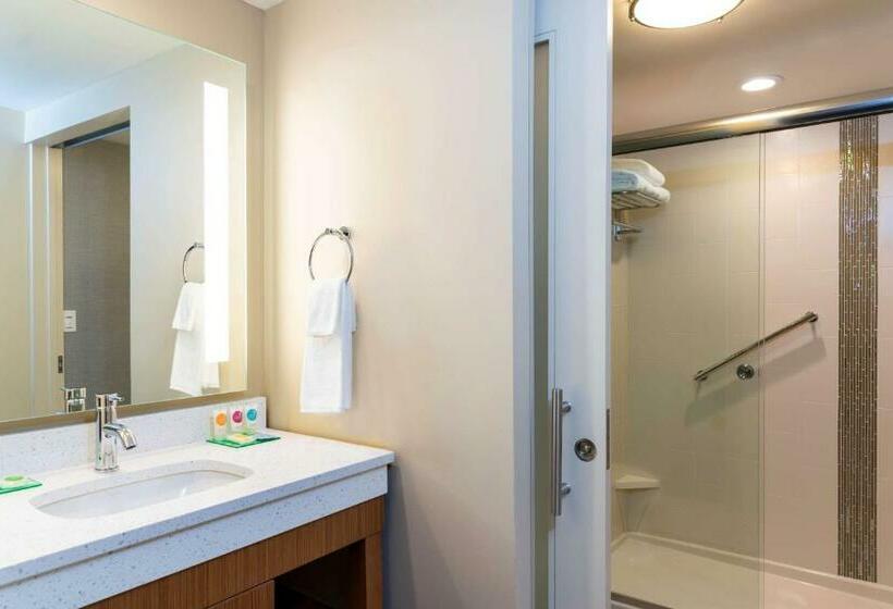اتاق استاندارد با تخت بزرگ, Hyatt Place Flint/Grand Blanc