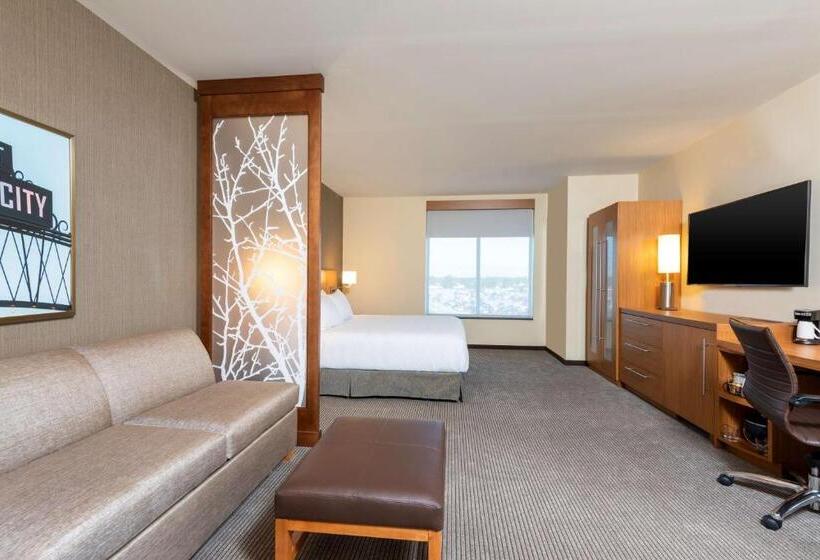 اتاق استاندارد با تخت بزرگ, Hyatt Place Flint/Grand Blanc
