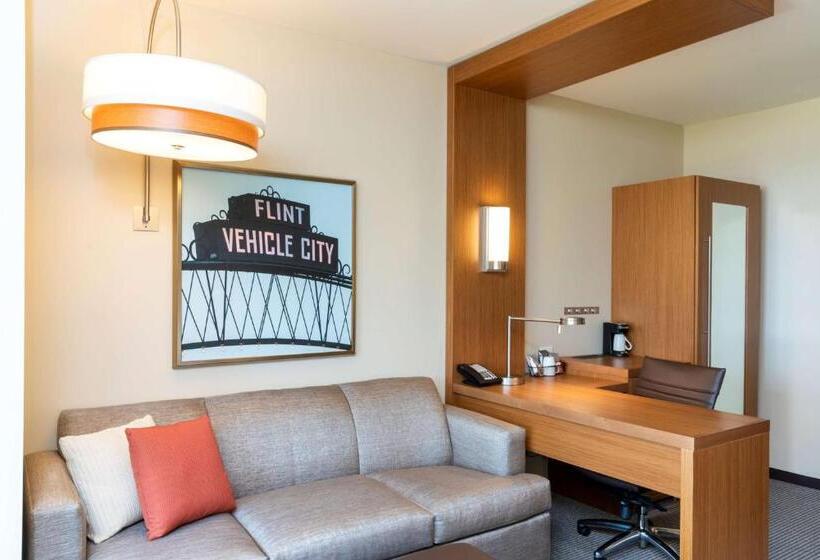 اتاق استاندارد با 2 تخت دوبل, Hyatt Place Flint/Grand Blanc