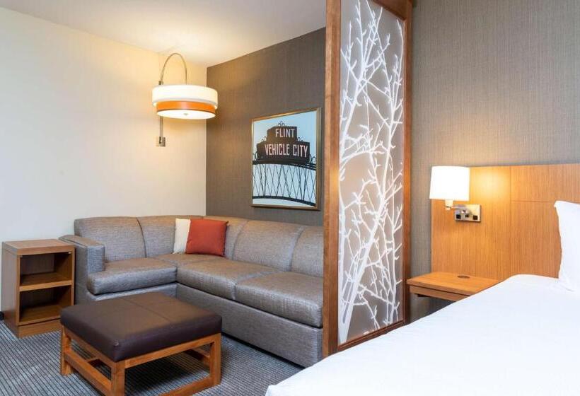 اتاق استاندارد با 2 تخت دوبل, Hyatt Place Flint/Grand Blanc