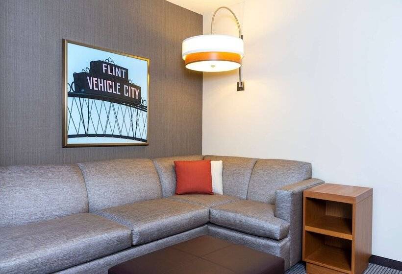 اتاق استاندارد, Hyatt Place Flint/Grand Blanc