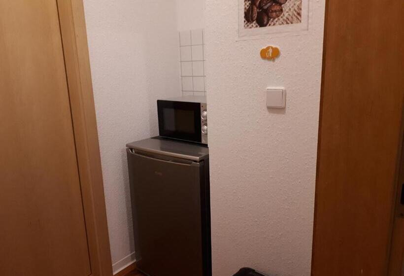 标准单人间, City Pension Zwickau