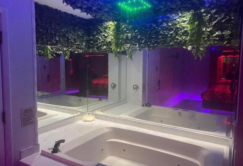 Люкс с гидромассажем, Des Plaines Motel