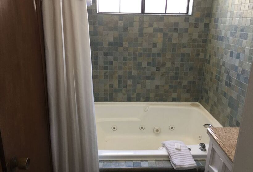 스탠다드 룸, Catalina Island Seacrest Inn