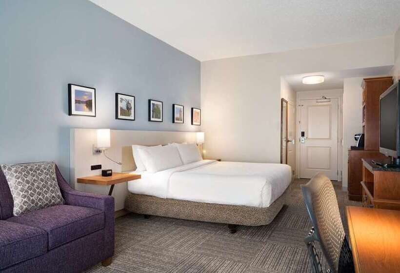 キングサイズベッドのスタンダードルーム, Hilton Motif Seattle