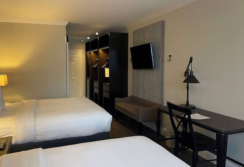 Номер Стандарт 2 Двуспальные Кровати, The Century House, Ascend Hotel Collection