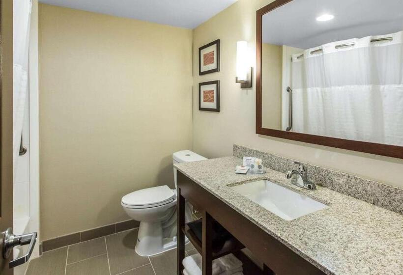 Standard Szoba, Comfort Inn & Suites Knoxville West
