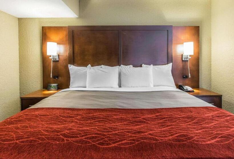 Suite King Size Bed, Comfort Inn & Suites Knoxville West
