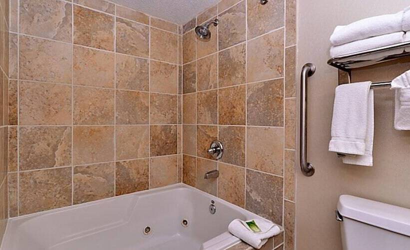 Habitació Estàndard, Holiday Inn Express Hotel & Suites Indianapolis W   Airport Area, An Ihg