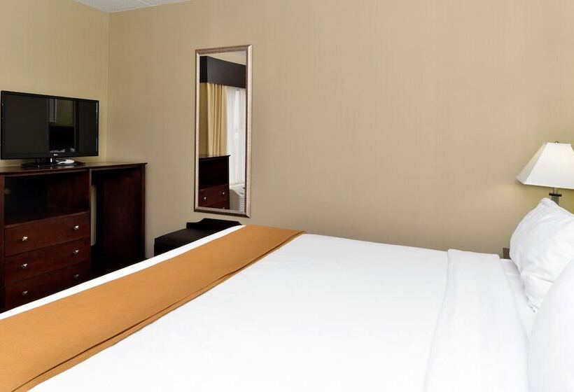 Habitació Estàndard, Holiday Inn Express Hotel & Suites Indianapolis W   Airport Area, An Ihg
