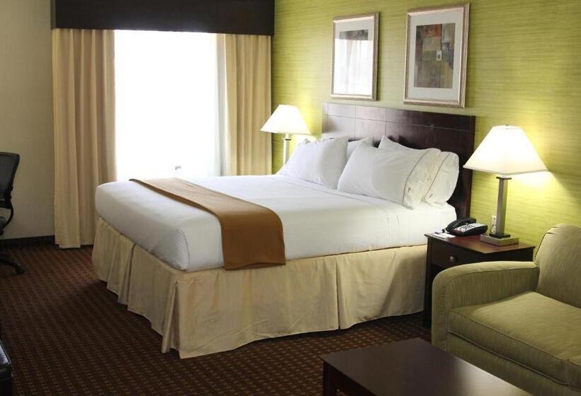 Habitació Estàndard Llit King, Holiday Inn Express Hotel & Suites Indianapolis W   Airport Area, An Ihg