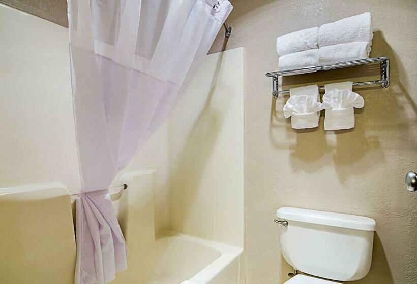 Номер Стандарт 2 Двуспальные Кровати, Quality Inn Sidney I80