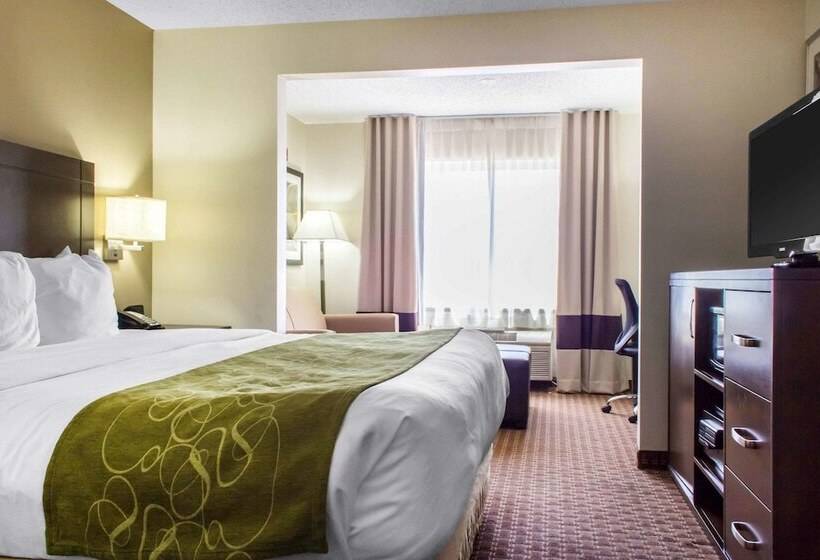 סוויטה, Comfort Suites At Tucson Mall