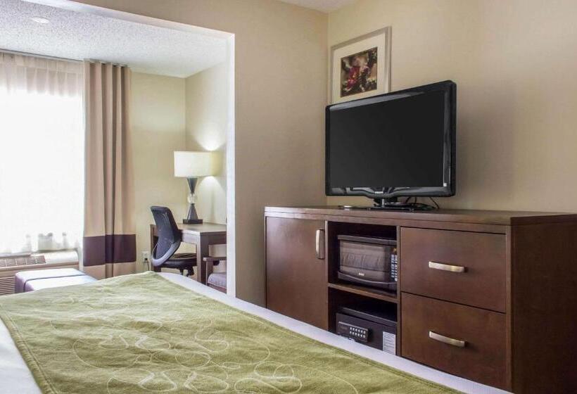 מיטת קינג בסוויטה, Comfort Suites At Tucson Mall