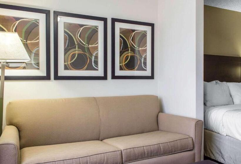 מיטת קינג בסוויטה, Comfort Suites At Tucson Mall