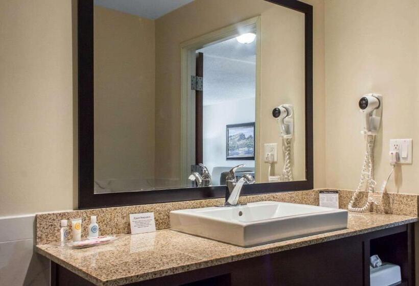 סוויטה, Comfort Suites At Tucson Mall