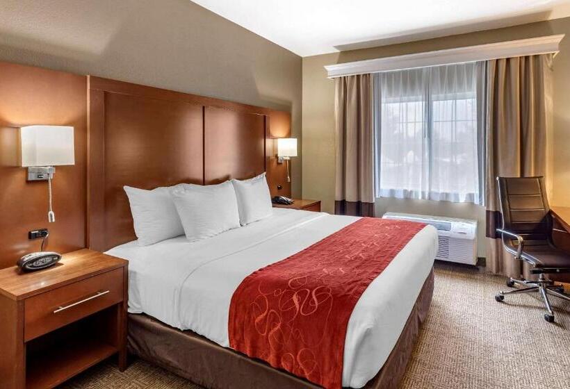 Люкс Кровать Кинг, Comfort Suites Fort Collins Near University