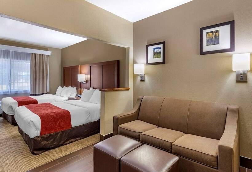 Люкс Адаптированный для Инвалидов, Comfort Suites Fort Collins Near University