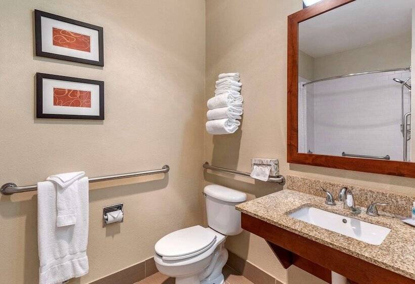 Люкс Адаптированный для Инвалидов, Comfort Suites Fort Collins Near University