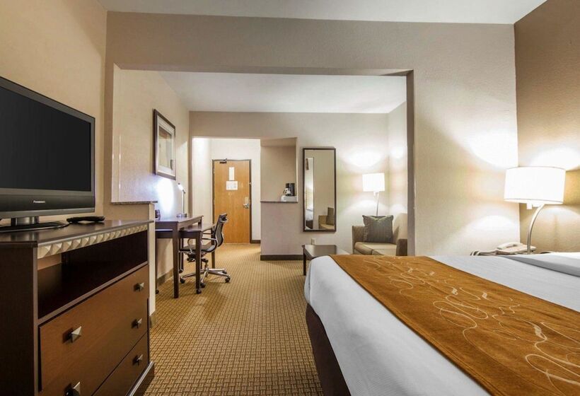 Люкс Адаптированный для Инвалидов, Comfort Suites