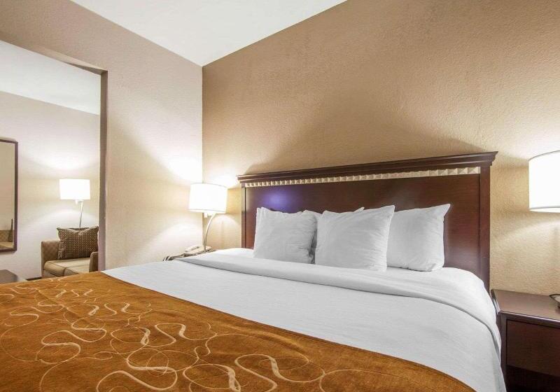 Люкс Кровать Кинг, Comfort Suites