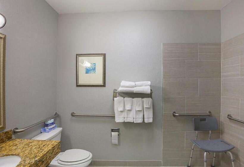 Номер Стандарт Кровать Кинг Адаптированный для Инвалидов, Country Inn & Suites By Radisson, Lewisville, Tx