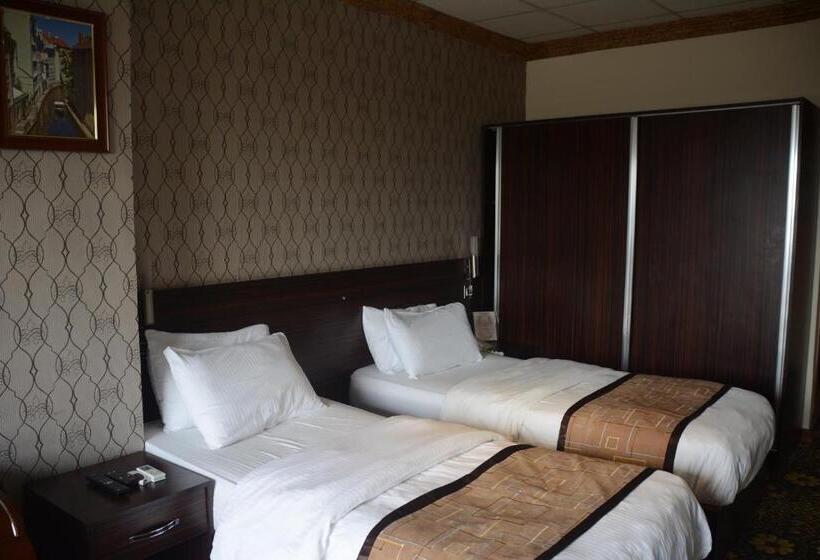 اتاق استاندارد, Karlovyvary Hotel Ankawa