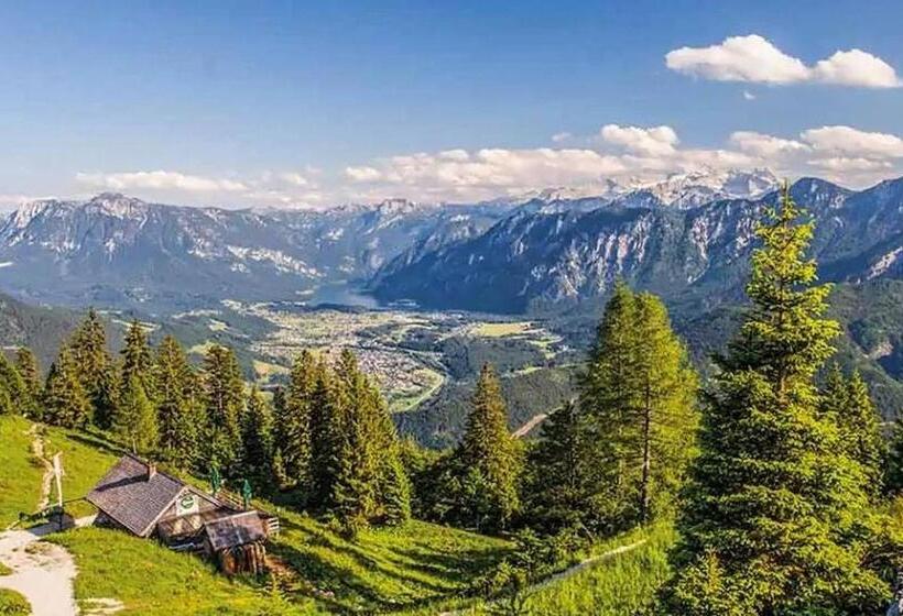 Номер Стандарт, Hoferbauergut