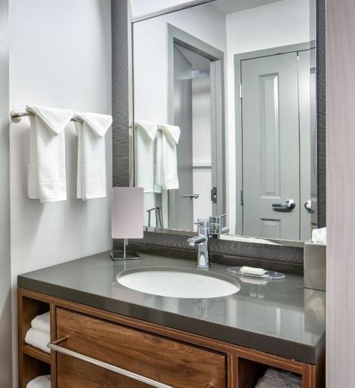 Quarto Standard Cama King para Deficientes, Courtyard By Marriott Chicago Downtown/river North
