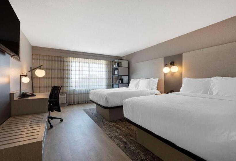 スタンダードルーム, Best Western Plus Fort Worth North