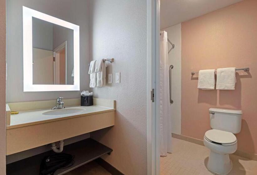 身障者適用キングサイズベッドルーム, Best Western Plus Fort Worth North