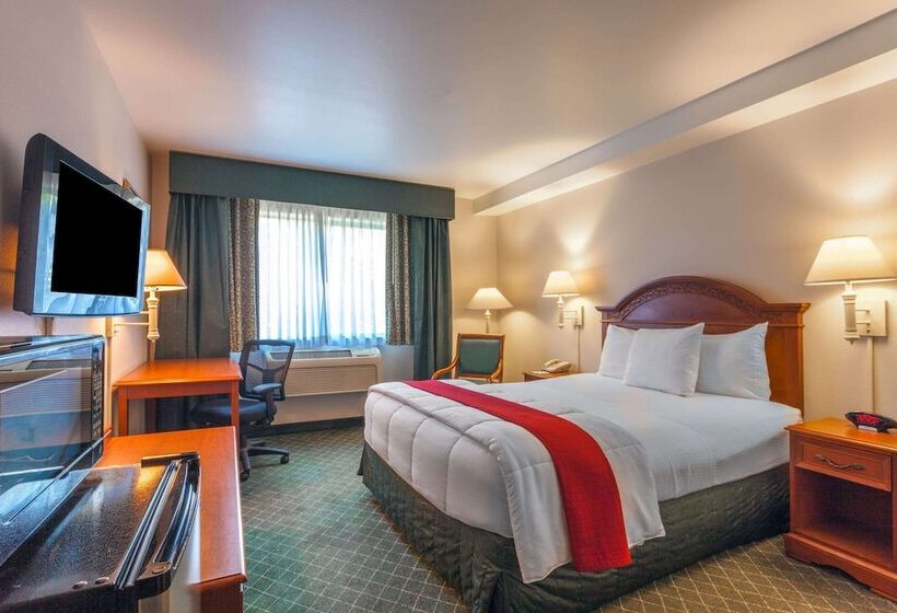 身障者適用スタンダードルーム, Baymont Inn & Suites By Wyndham