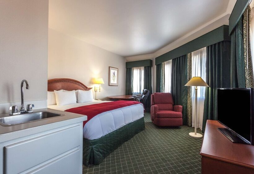 디럭스 스튜디오, Baymont Inn & Suites By Wyndham
