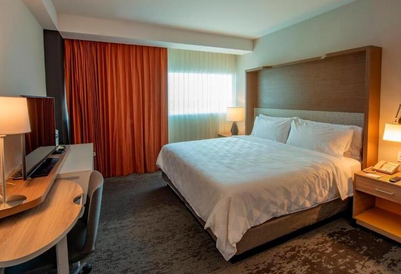 带大床的标准间, Holiday Inn & Suites   Merida La Isla, An Ihg