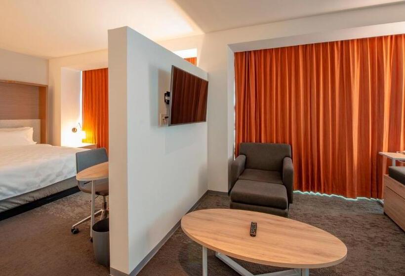 带大床的套房, Holiday Inn & Suites   Merida La Isla, An Ihg