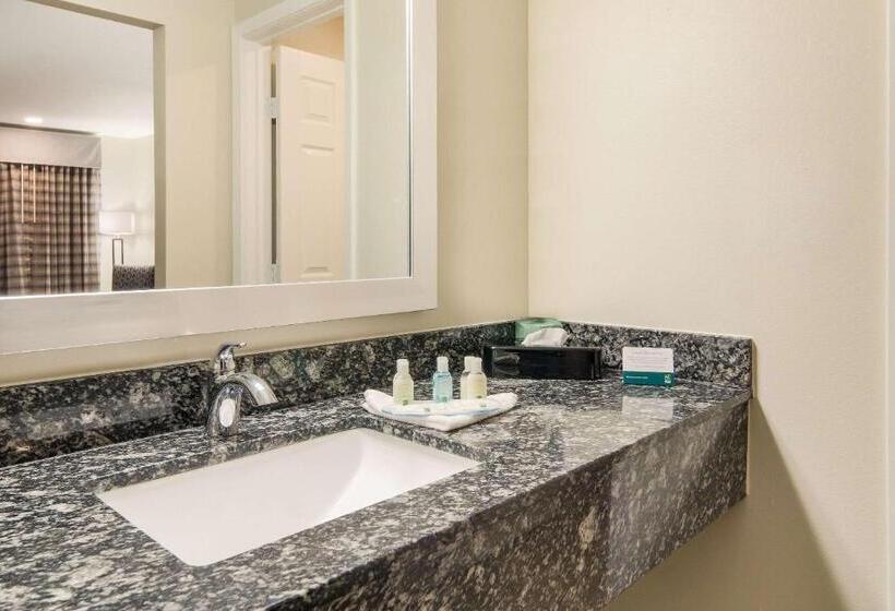 Номер Стандарт 2 Двуспальные Кровати, Quality Inn & Suites Dallas Cityplace