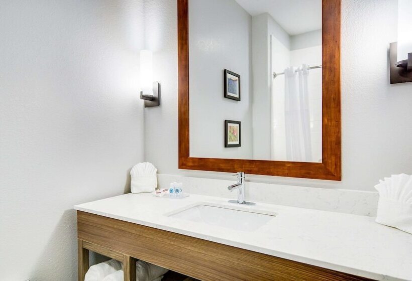 Люкс, Comfort Suites Desoto Dallas South